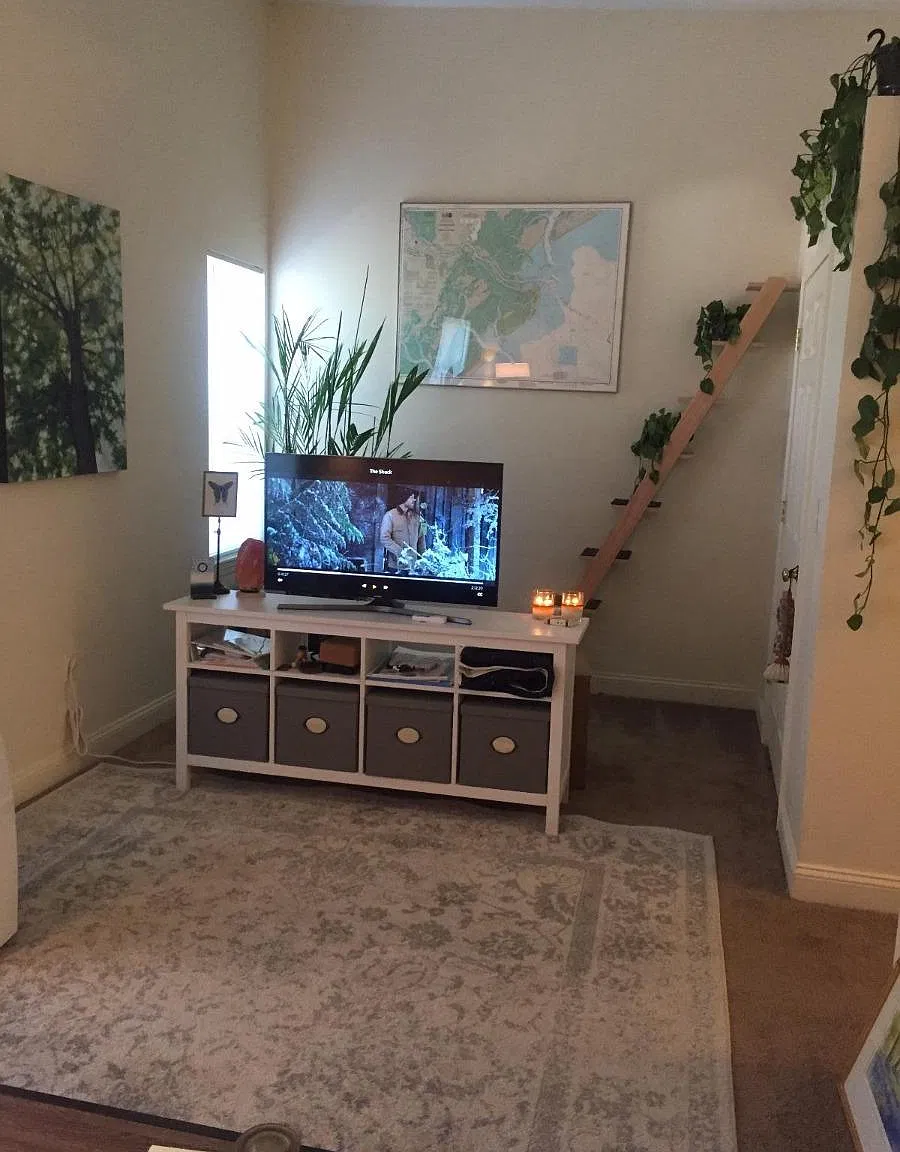 2 bed, 1100 sqft, $2,495 — Photo 3