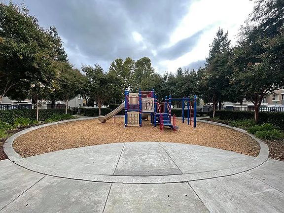 Play Area
