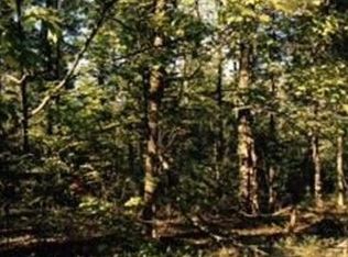 00 Walton Rd #PARCEL-TD, kingsley, MI 49649