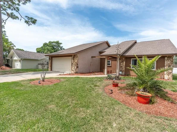 3405 Brian Rd S, Palm Harbor, FL 34685