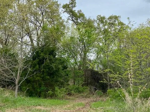 000 Raspberry Road Lot 45, Highlandville, MO 65669