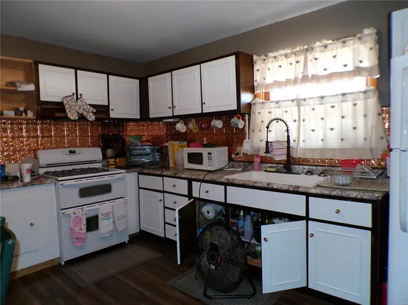 10007 N Pine St, Potosi, MO 63664