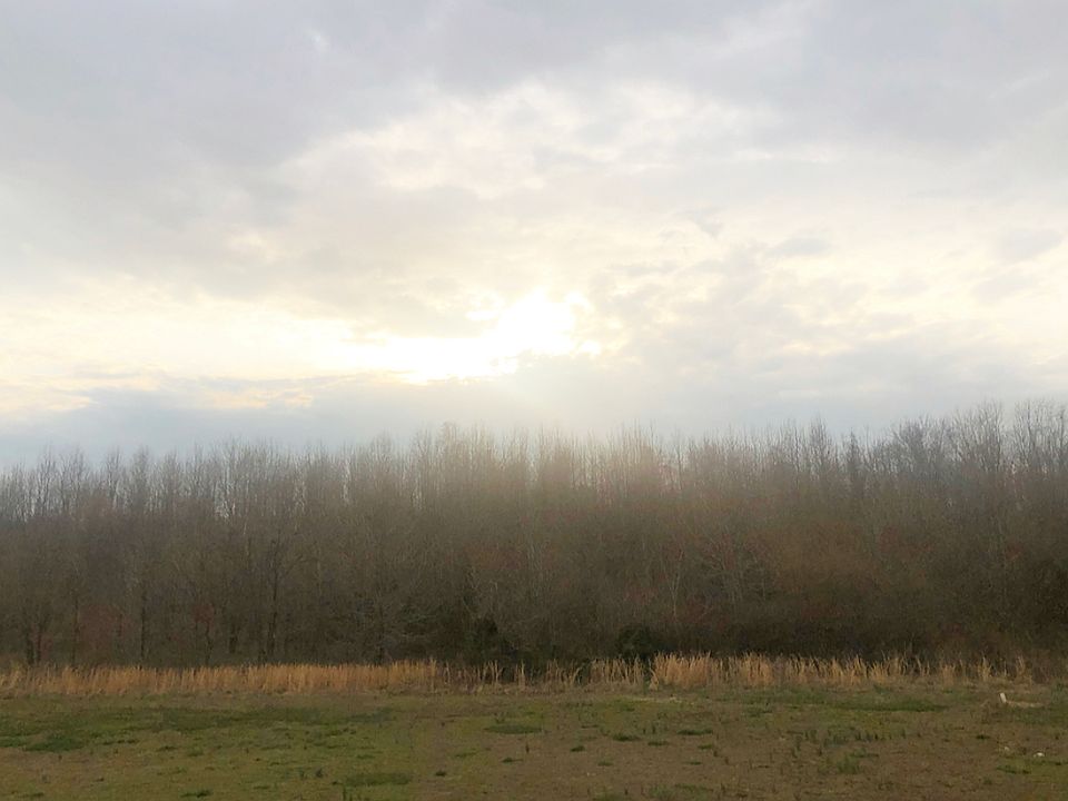 2nd image of 15920 County Road 612