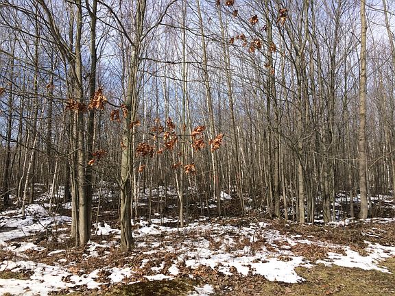 This is the view from the driveway.