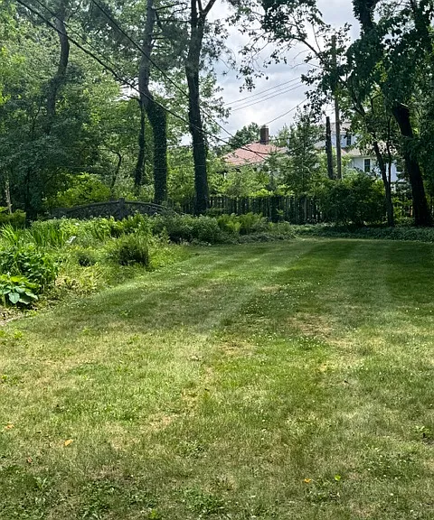 2402 Overlook Rd — Photo 13