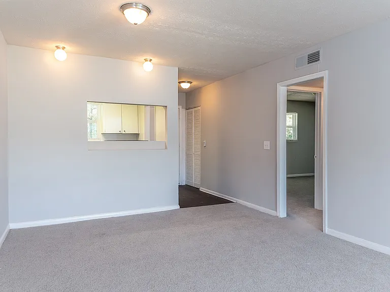 Bright and inviting living room with soft carpet flooring, modern lighting, and a convenient pass-through to the kitchen, offering an open and airy layout.