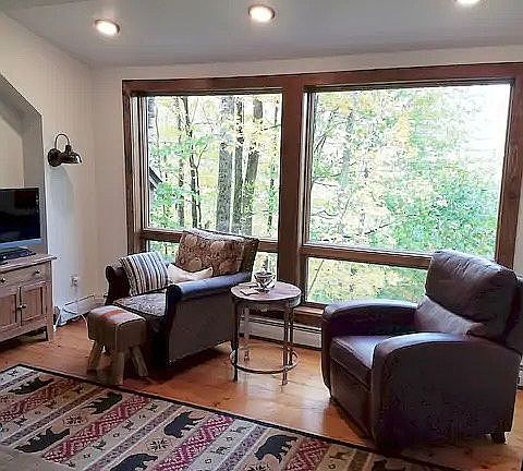 Living room..new windows