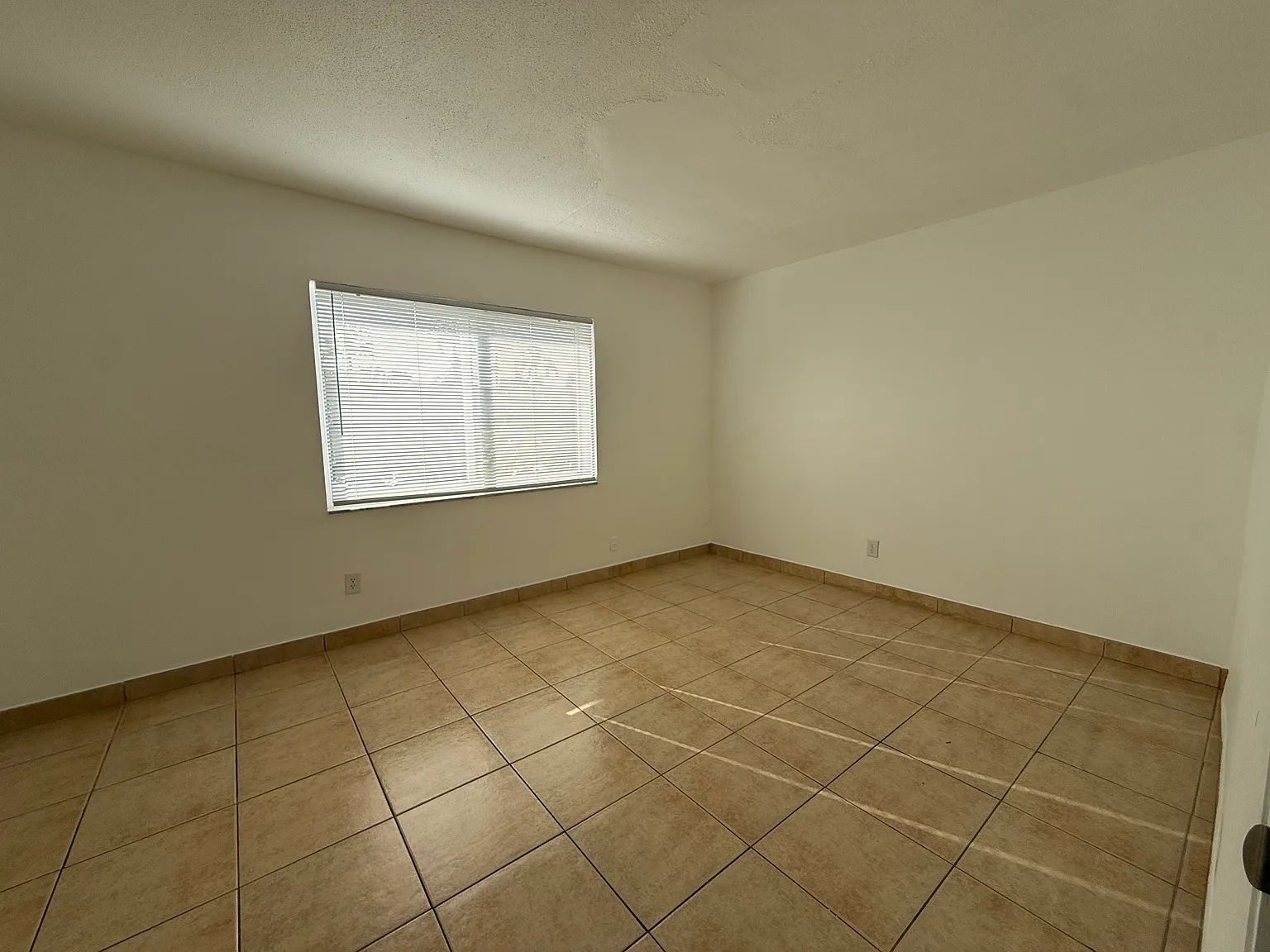 1 bed, 600 sqft, $1,600 — Photo 3
