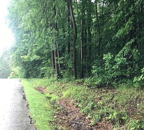 5th image of Lakewood Dr