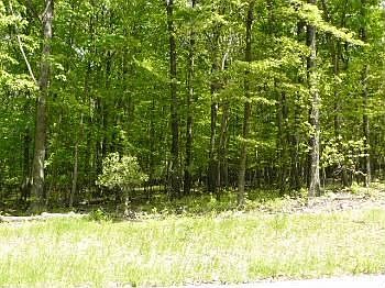 1st image of 1440 Tower Rd