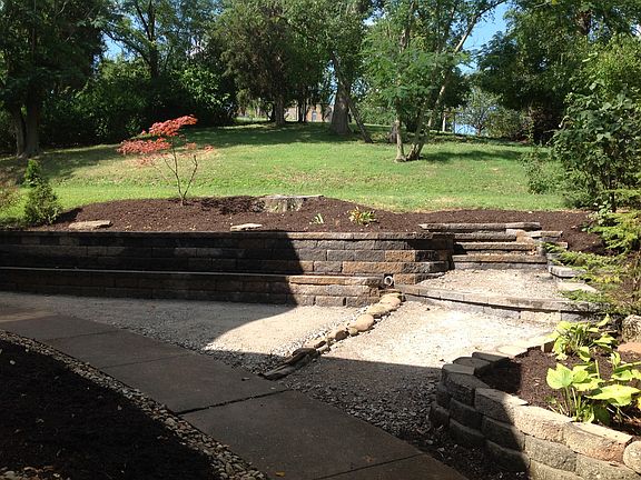 View of the backyard