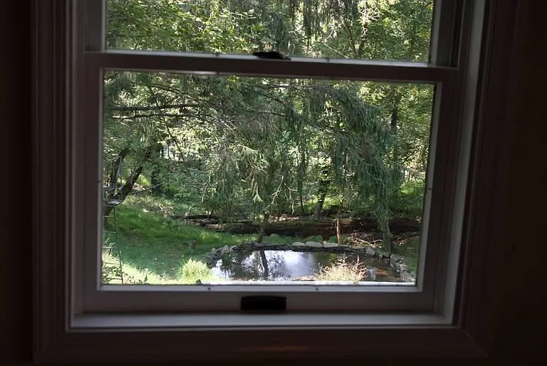 View to the back yard