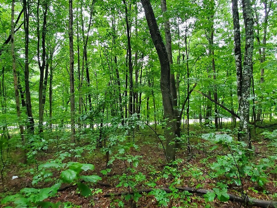 2nd image of Sawmill Rd