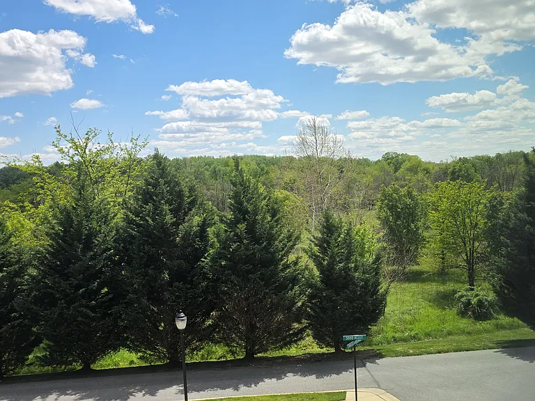 View from Owner's Suite Bathroom