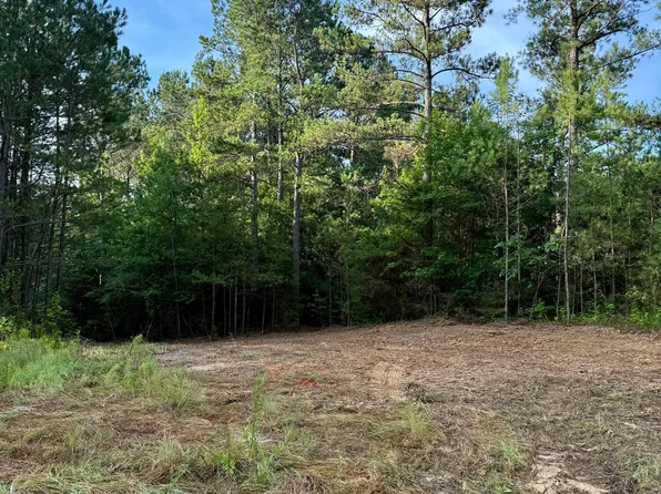 0 Highway 395, Noxapater, MS 39346