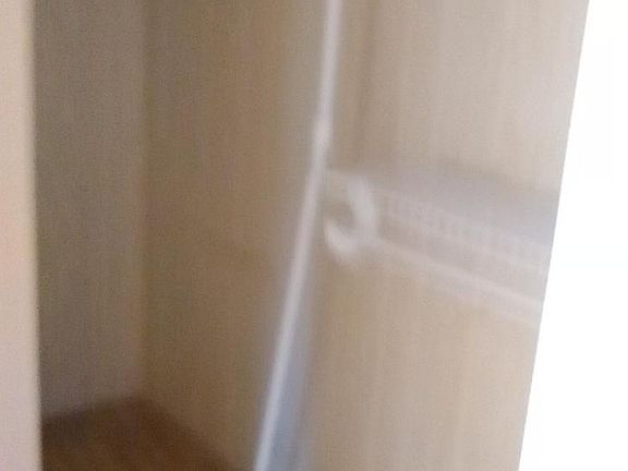 Main Bathroom Closet