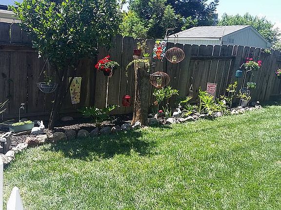 Back yard 