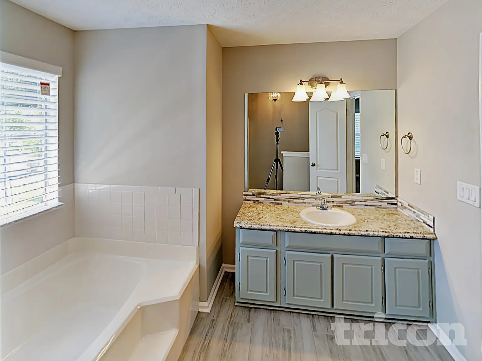 12310 Riviera Drive Fayetteville GA — Photo 3