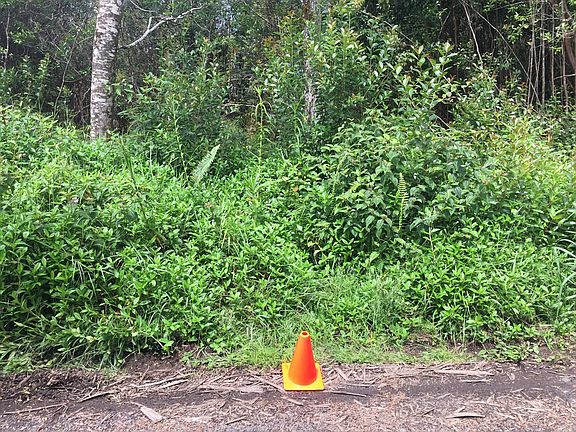 5th image of Road 10 Poouli Lot 5793