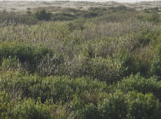 347 Sand Dune Ave NW, Ocean Shores, WA 98569