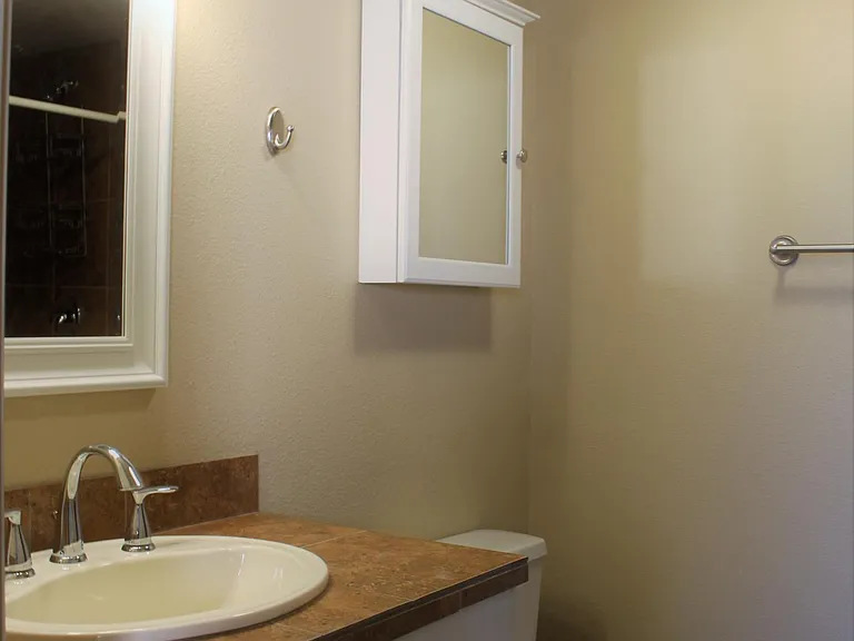 Main level bath- Shower to the right (not show in photo)