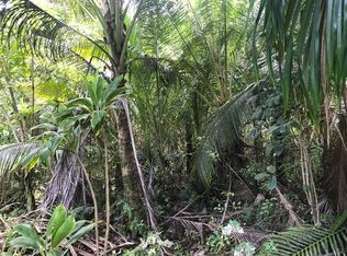 Government Beach Rd LOT 77, Pahoa, HI 96778