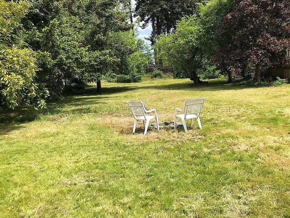 park-like backyard