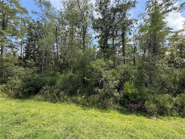 STARRY STREET LOT 24, ORLANDO, FL 32833
