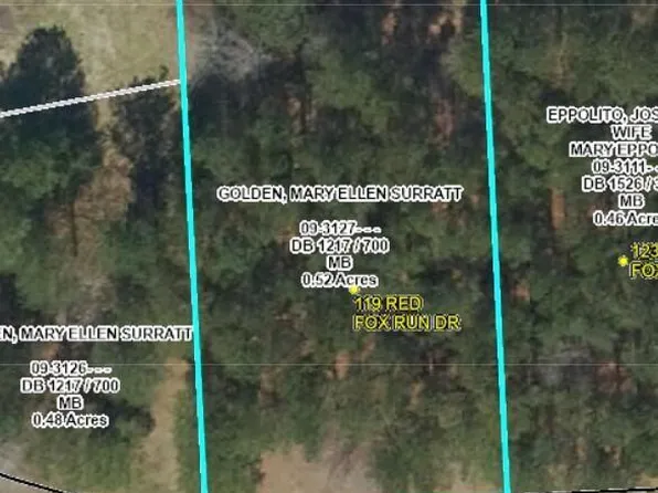 119 Red Fox Run Drive, Wallace, NC 28466