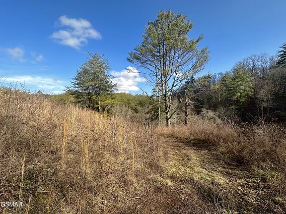 3rd image of 0 Leatherwood Rd