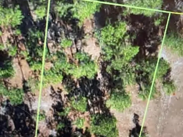 219 Oak Island Rd Lot 219, Harrells, NC 28444