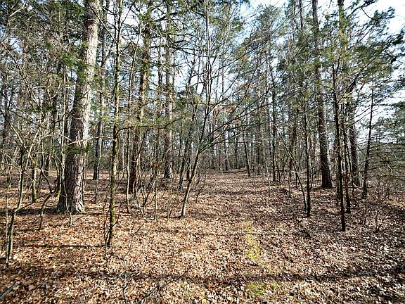 3rd image of Polk Rd #95