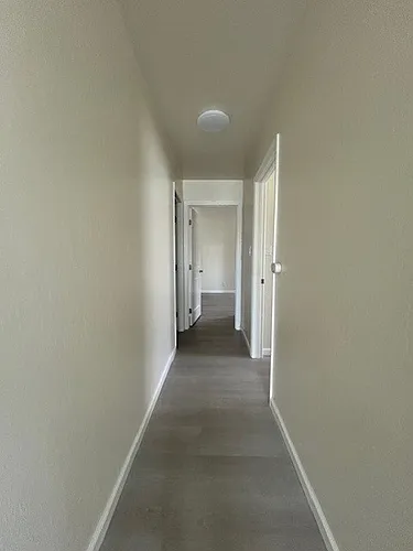 Newly Remodeled Large 3-bedroom 1.5 Bathroom apartment in Berkeley Photo 1
