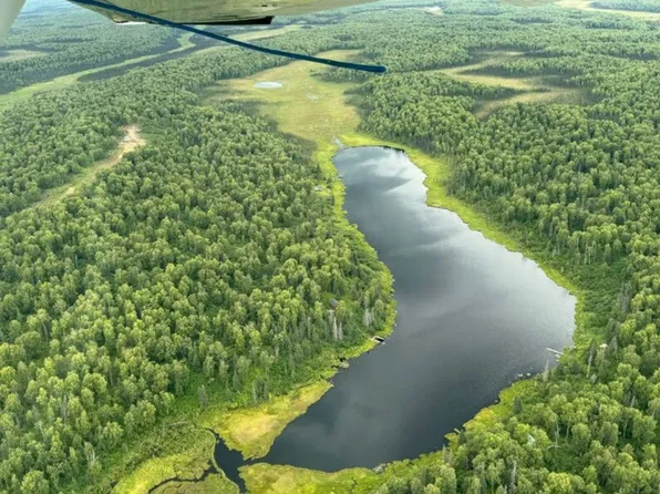 123 Bee Bay, Willow, AK 99688