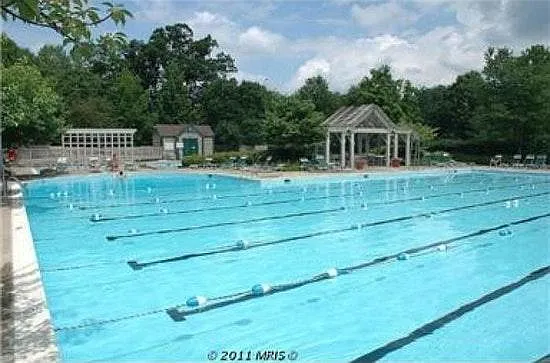 1 bed, 790 sqft, $2,150 — Photo 4