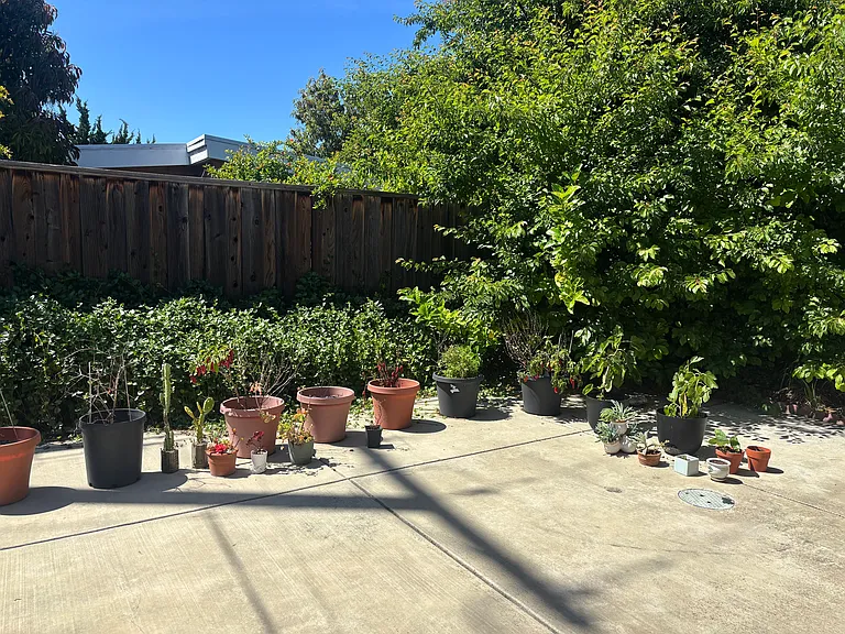 260 N Rengstorff Ave — Photo 7