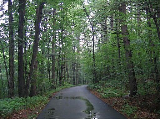 Secluded Driveway
