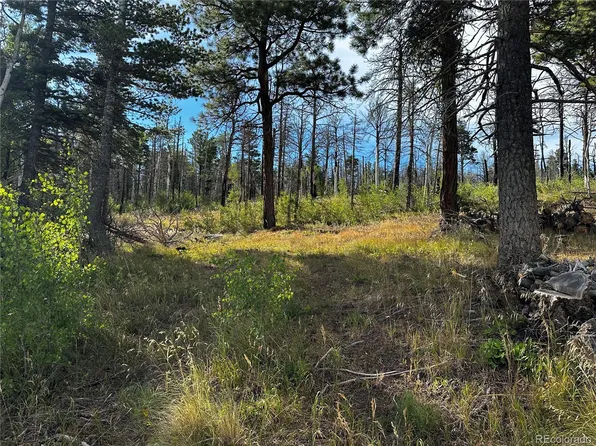 2180 Sigler Drive LOT 2180, Fort Garland, CO 81133
