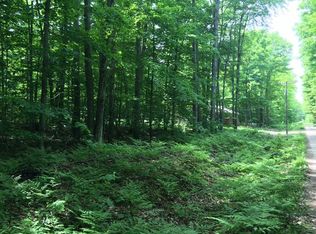 Douglas Lake Rd, Pellston, MI 49769