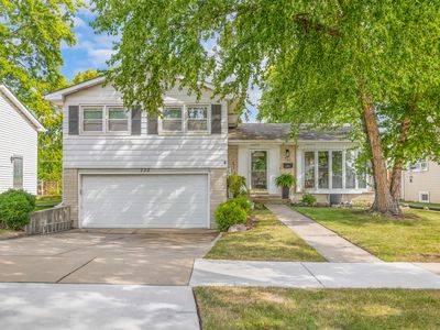 732 Sandy Ln, Des Plaines, IL, 60016