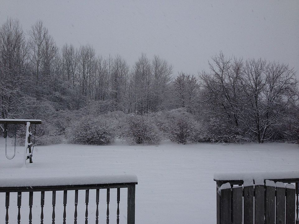 2nd image of 8365 Golden Larch Ln