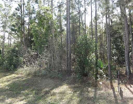 2nd image of 16628 84th Ct N