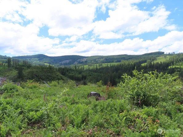 0 Lot 2 L-1100 Road, Yacolt, WA 98675