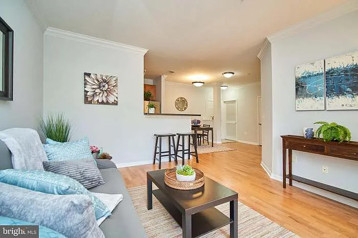 1 bed, 771 sqft, $2,300 — Photo 4