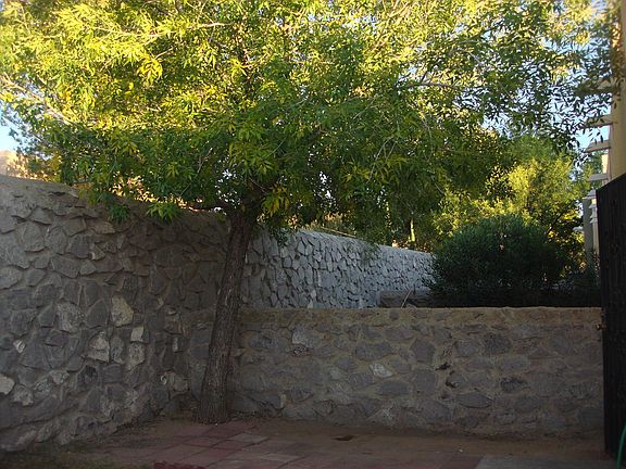 Private backyard