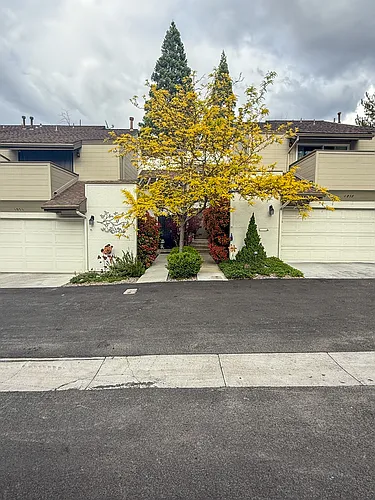4011 Bluegrass Ct Photo 1