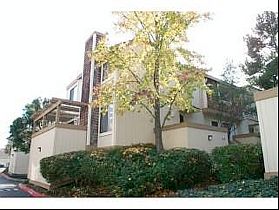 5th image of 14570 Loretta Ln