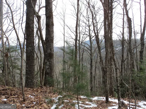 0 Evans Creek Rd, Scaly Mountain, NC 28775