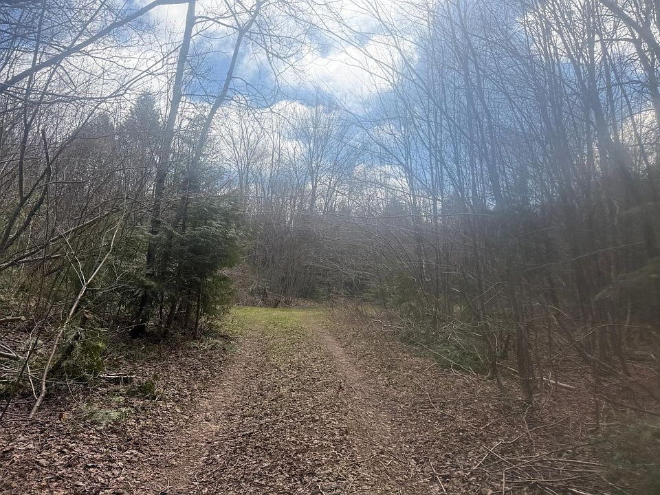 1st image of Black River Rd