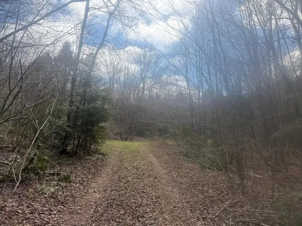 Black River Rd, Bessemer, MI 49911